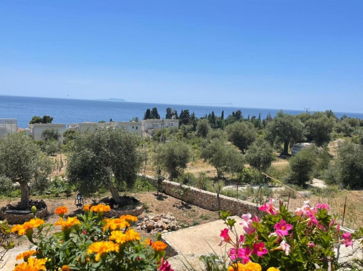 Exclusive Greccia Inn Dhërmi Exteriör bild