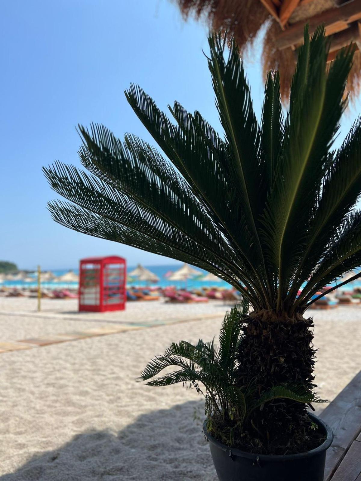 Exclusive Greccia Inn Dhërmi Exteriör bild