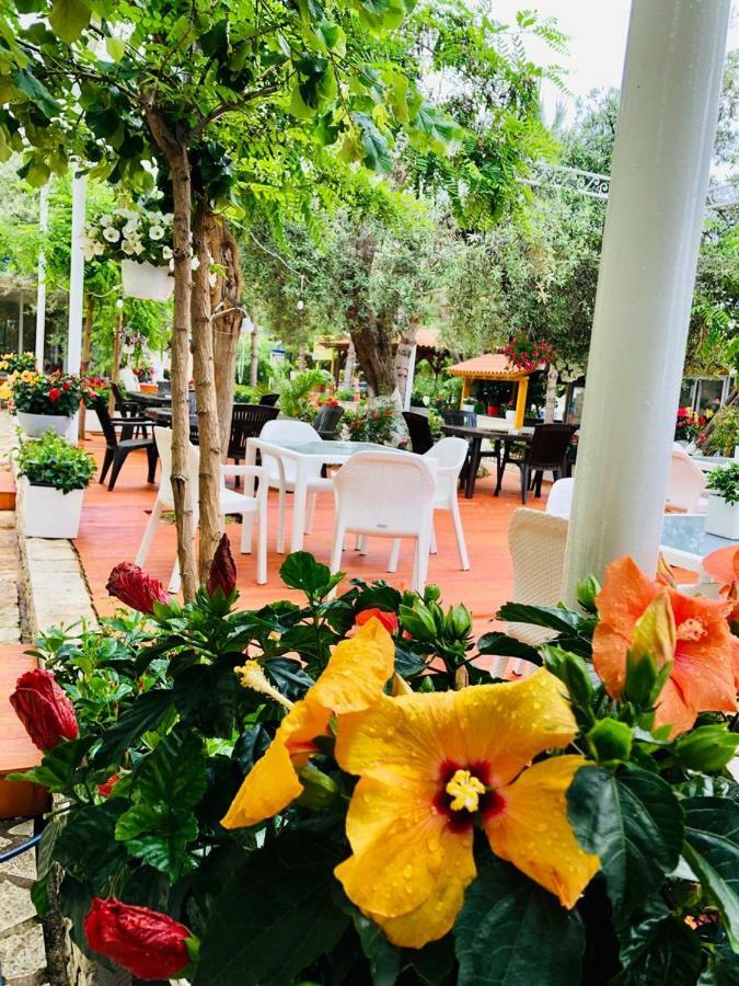 Exclusive Greccia Inn Dhërmi Exteriör bild